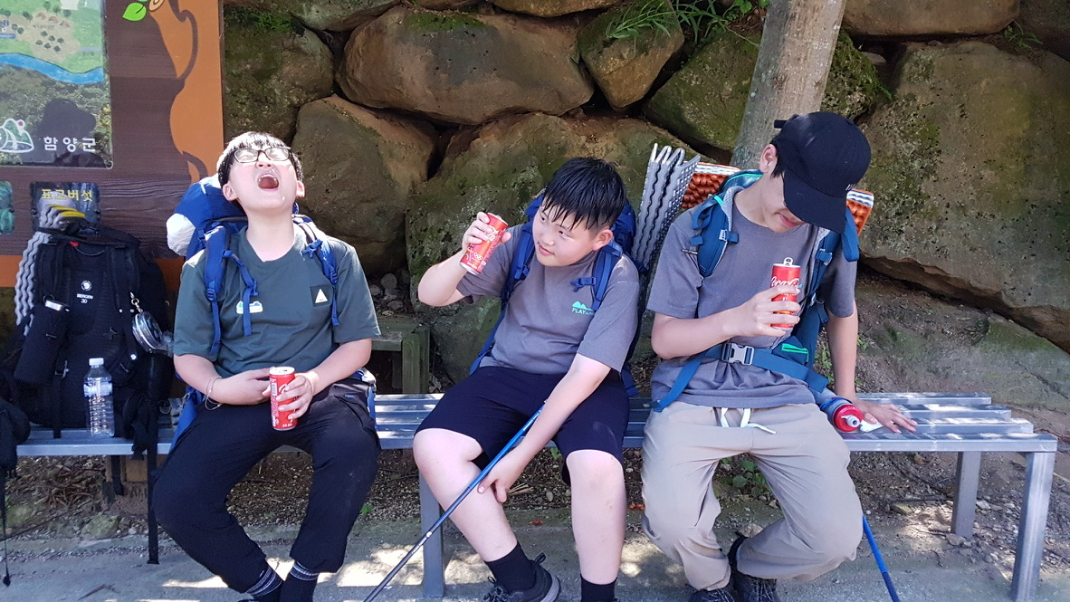 Nature learning activity